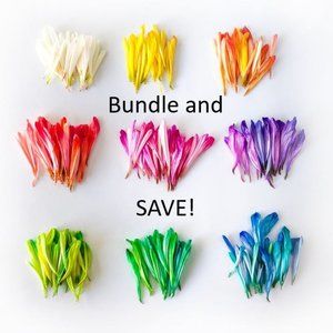 Bundle and save!